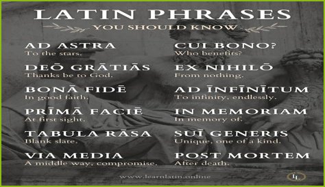 A Profile Of A Latin Beauty