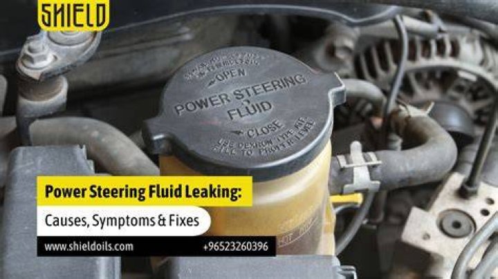 Can you check the power steering fluid?