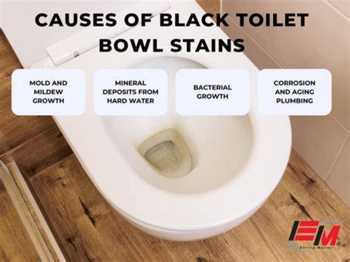 What causes black buildup in toilet?