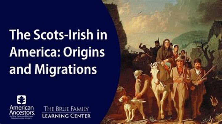 What did Irish immigrants bring with them to America?