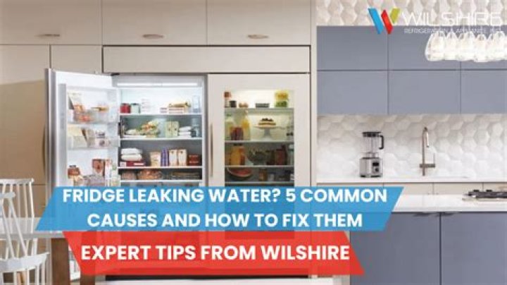 What would cause a refrigerator to leak water inside?