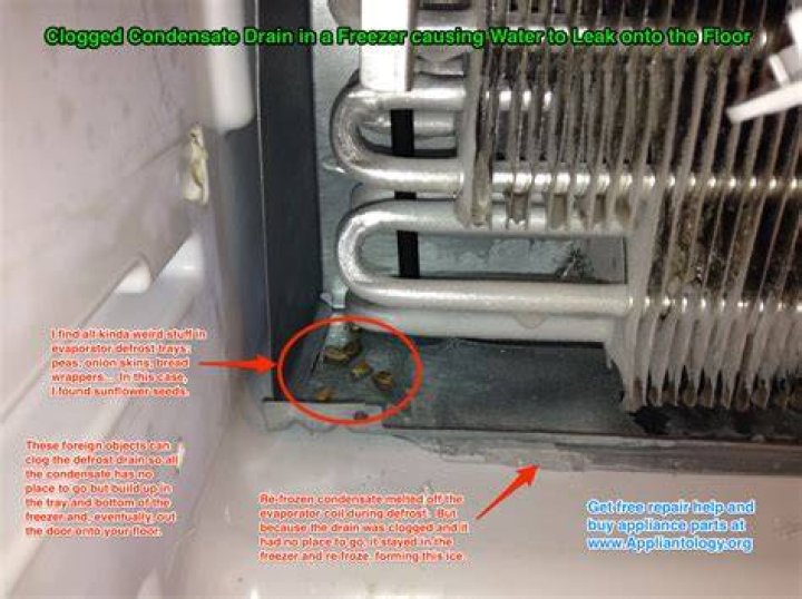 Where is the refrigerator defrost drain tube?