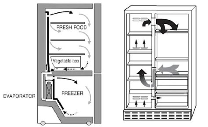 Why is my freezer working but refrigerator is not?